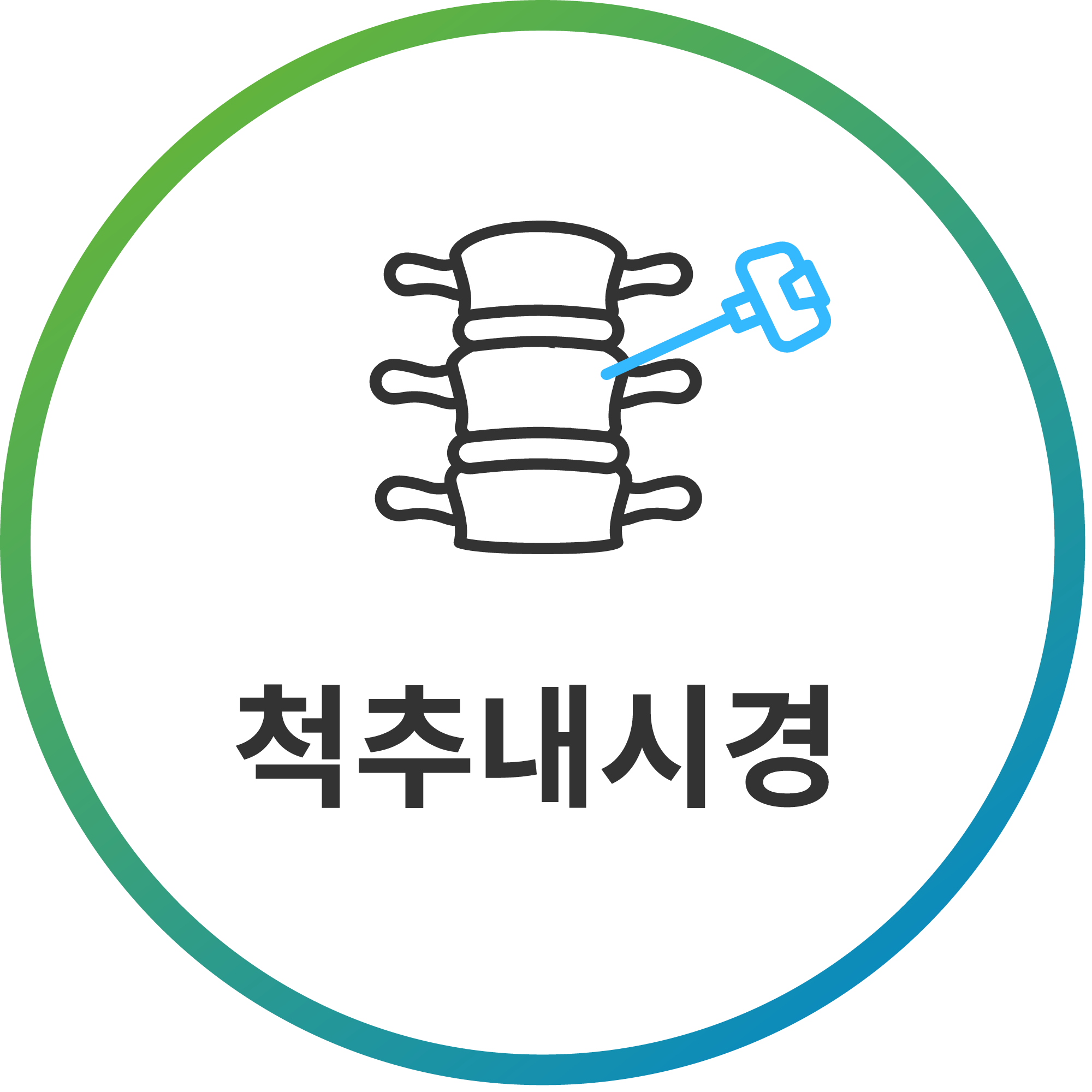 척추내시경